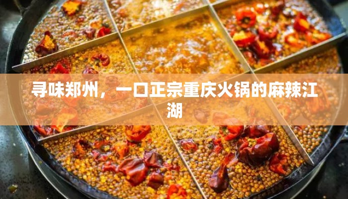 寻味郑州，一口正宗重庆火锅的麻辣江湖