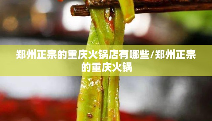 郑州正宗的重庆火锅店有哪些/郑州正宗的重庆火锅
