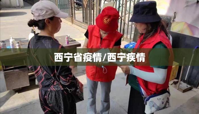 西宁省疫情/西宁疾情