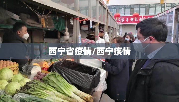 西宁省疫情/西宁疾情