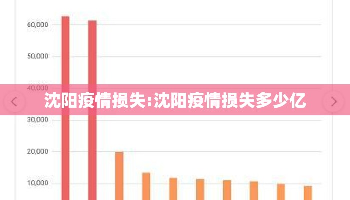 沈阳疫情损失:沈阳疫情损失多少亿