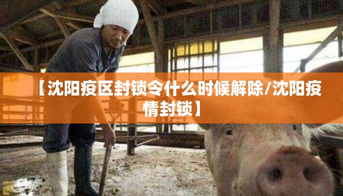 【沈阳疫区封锁令什么时候解除/沈阳疫情封锁】