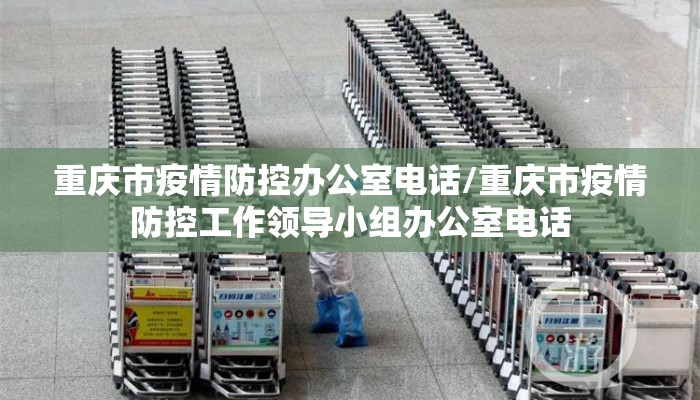 重庆市疫情防控办公室电话/重庆市疫情防控工作领导小组办公室电话
