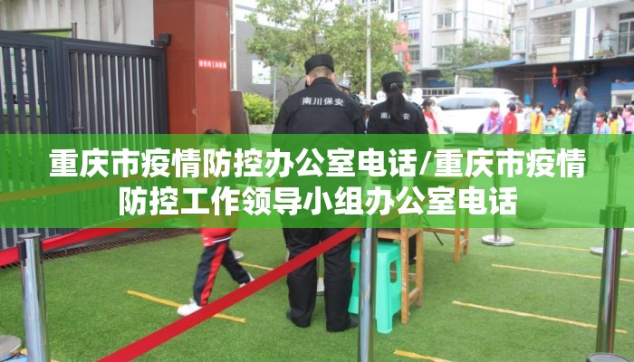 重庆市疫情防控办公室电话/重庆市疫情防控工作领导小组办公室电话