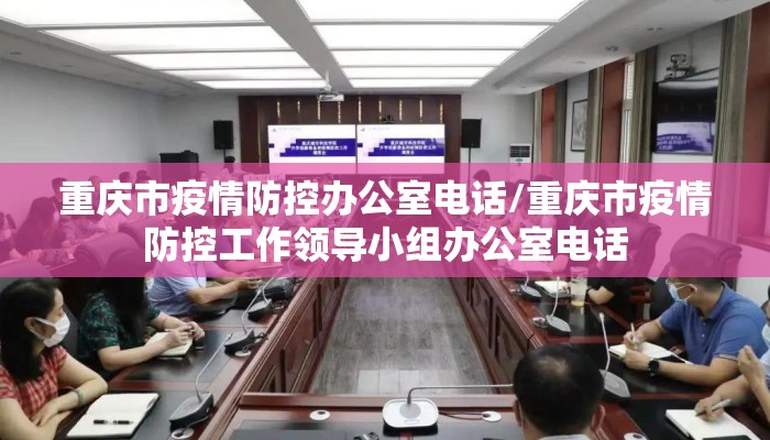 重庆市疫情防控办公室电话/重庆市疫情防控工作领导小组办公室电话