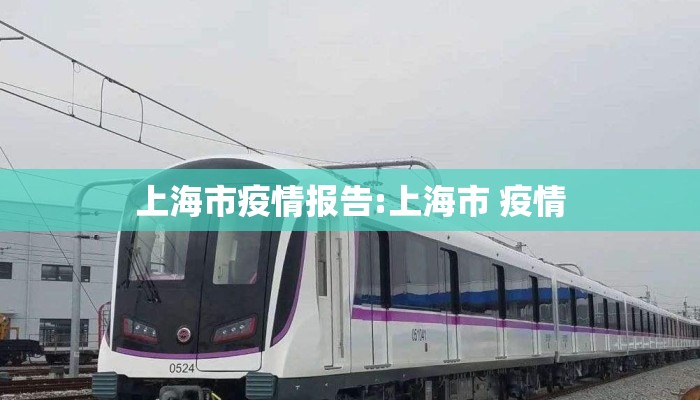 上海市疫情报告:上海市 疫情