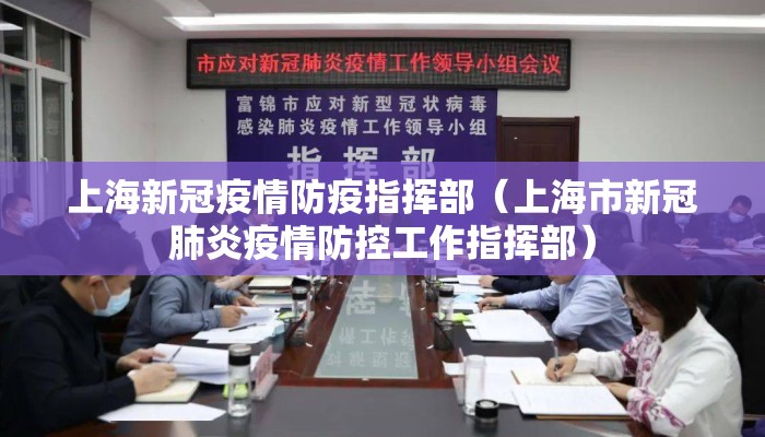 上海新冠疫情防疫指挥部（上海市新冠肺炎疫情防控工作指挥部）