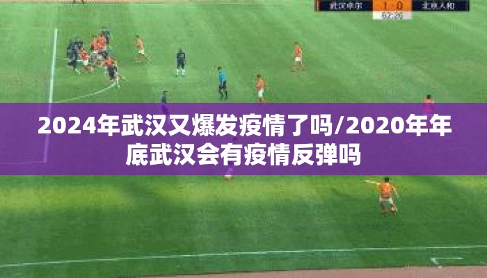 2024年武汉又爆发疫情了吗/2020年年底武汉会有疫情反弹吗