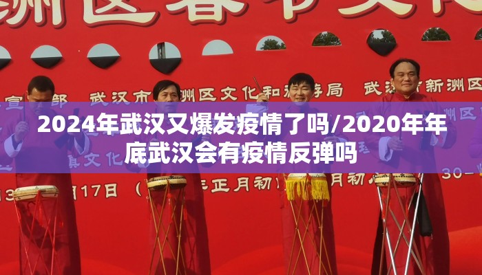 2024年武汉又爆发疫情了吗/2020年年底武汉会有疫情反弹吗