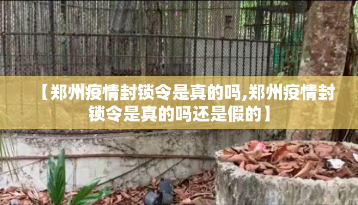 【郑州疫情封锁令是真的吗,郑州疫情封锁令是真的吗还是假的】