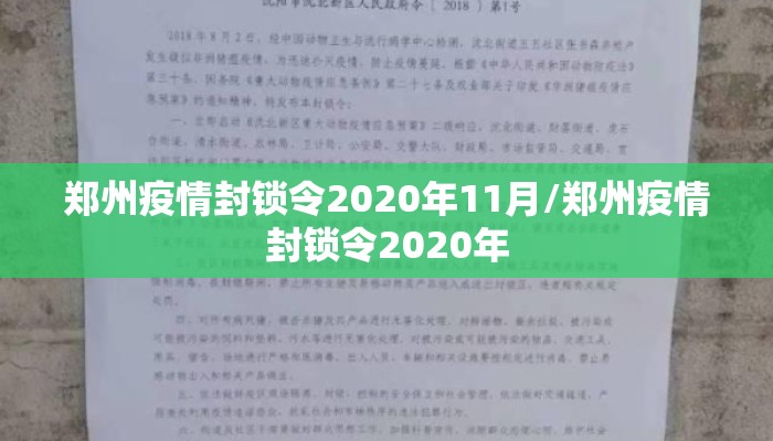 郑州疫情封锁令2020年11月/郑州疫情封锁令2020年
