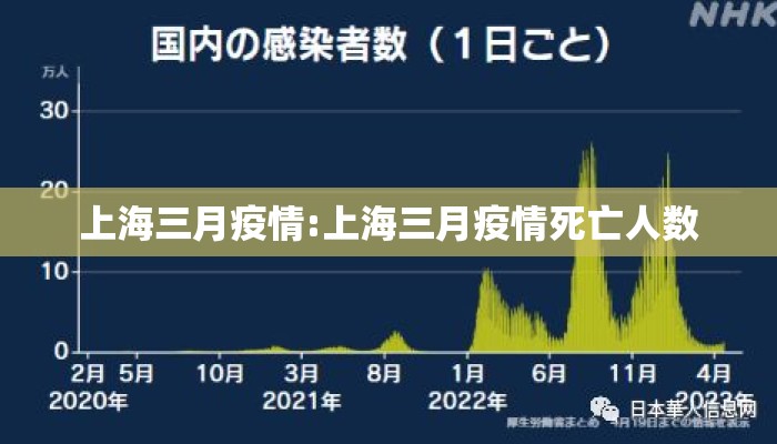 上海三月疫情:上海三月疫情死亡人数