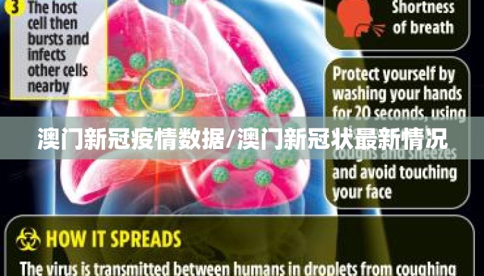 澳门新冠疫情数据/澳门新冠状最新情况