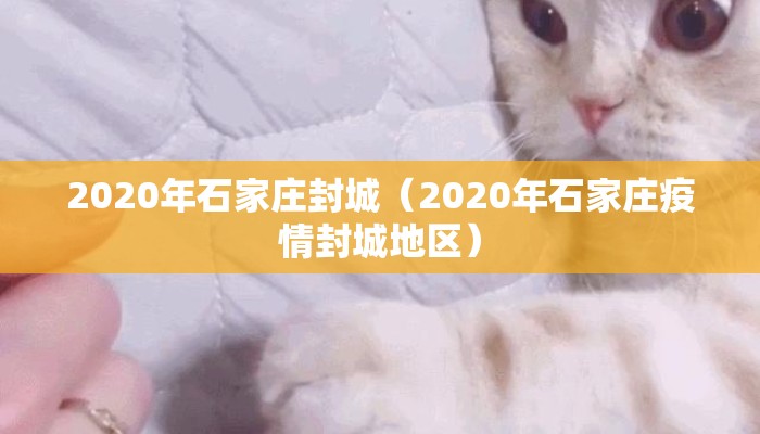 2020年石家庄封城（2020年石家庄疫情封城地区）
