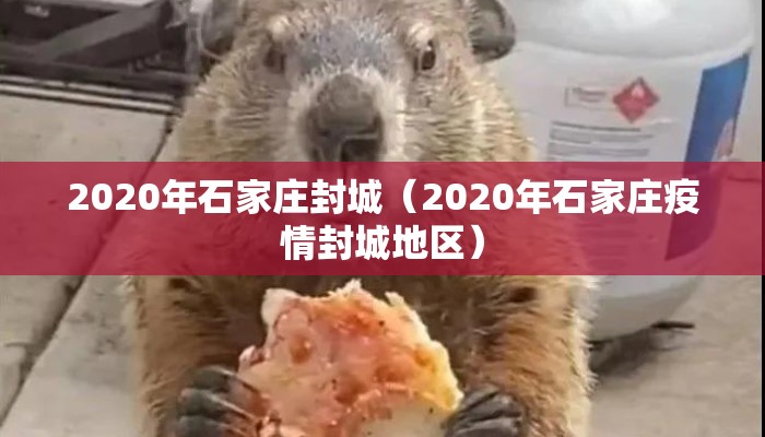 2020年石家庄封城（2020年石家庄疫情封城地区）