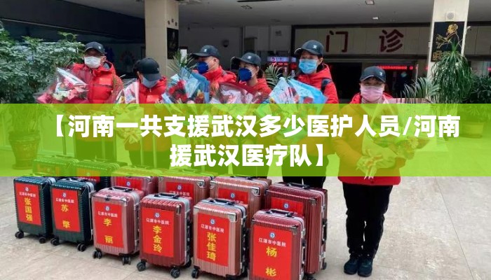 【河南一共支援武汉多少医护人员/河南援武汉医疗队】