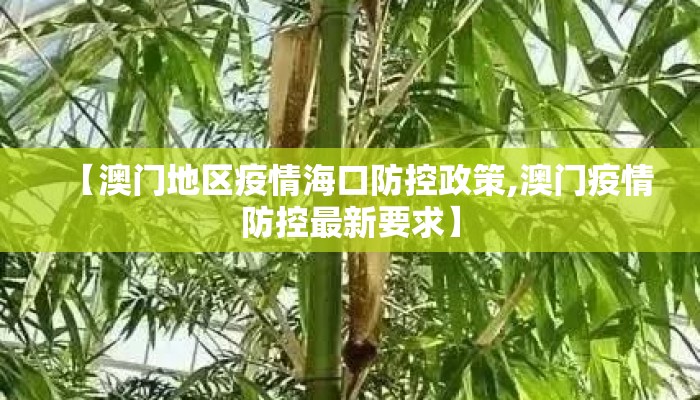 【澳门地区疫情海口防控政策,澳门疫情防控最新要求】