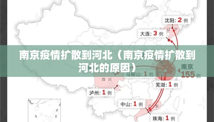 南京疫情扩散到河北（南京疫情扩散到河北的原因）