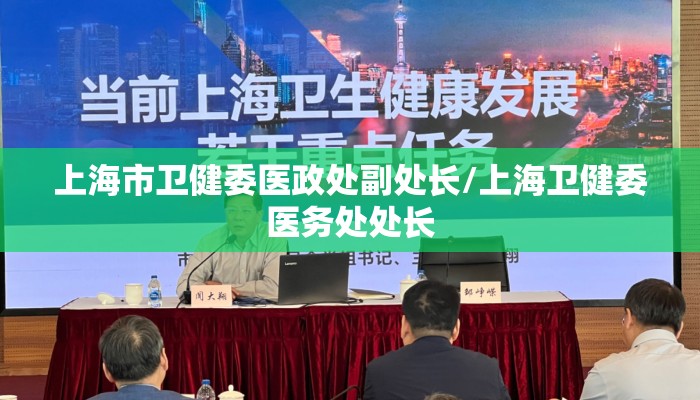 上海市卫健委医政处副处长/上海卫健委医务处处长