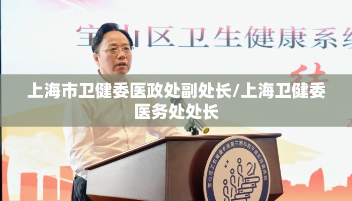 上海市卫健委医政处副处长/上海卫健委医务处处长