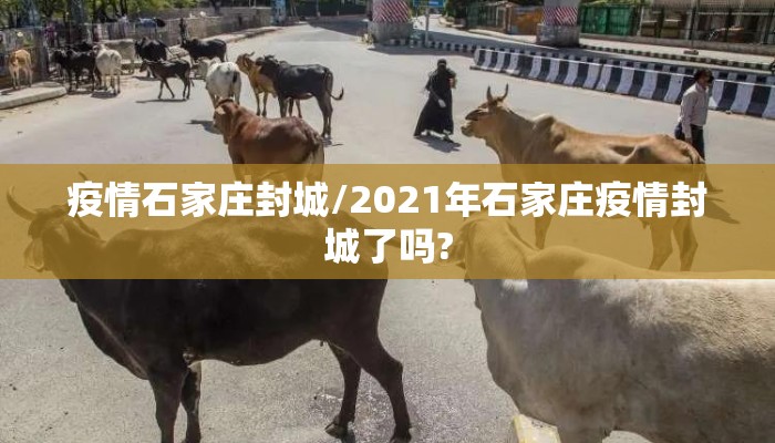 疫情石家庄封城/2021年石家庄疫情封城了吗?