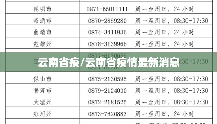 云南省疫/云南省疫情最新消息