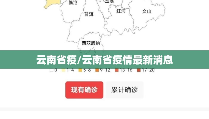 云南省疫/云南省疫情最新消息