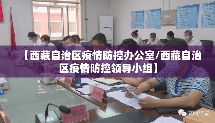 【西藏自治区疫情防控办公室/西藏自治区疫情防控领导小组】