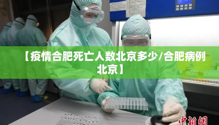 【疫情合肥死亡人数北京多少/合肥病例北京】