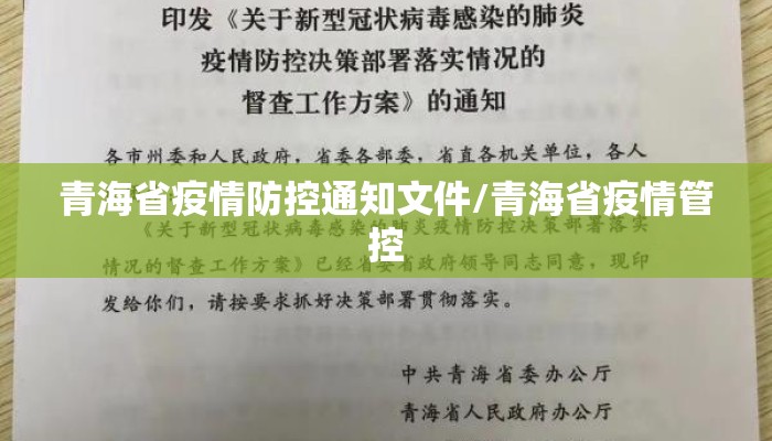 青海省疫情防控通知文件/青海省疫情管控
