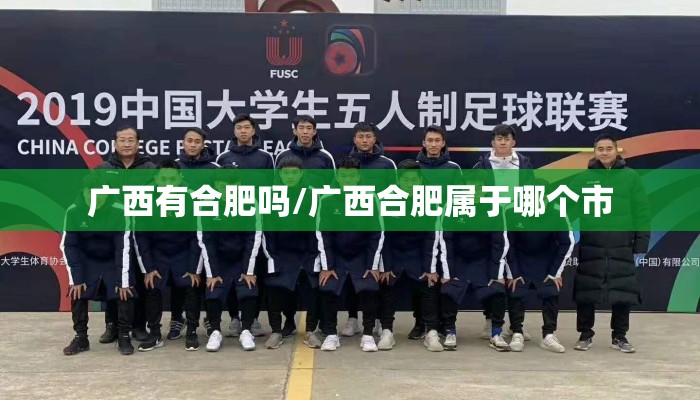 广西有合肥吗/广西合肥属于哪个市