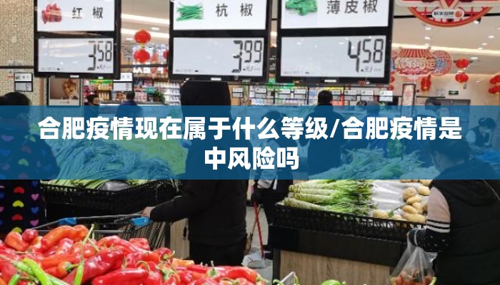 合肥疫情现在属于什么等级/合肥疫情是中风险吗 合肥疫情现在属于什么等级/合肥疫情是中风险吗