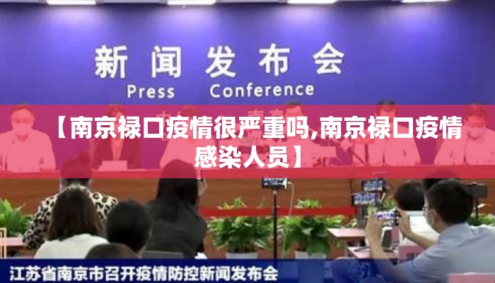【南京禄口疫情很严重吗,南京禄口疫情感染人员】