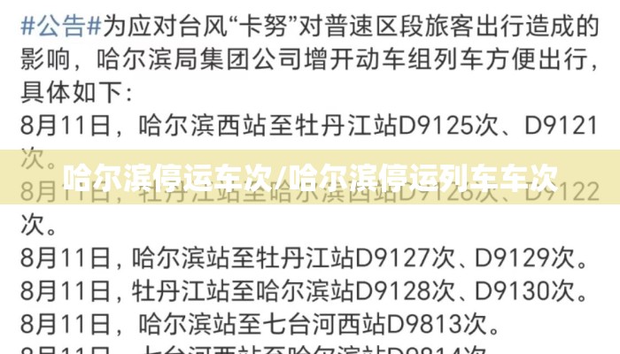 哈尔滨停运车次/哈尔滨停运列车车次