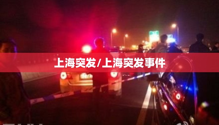 上海突发/上海突发事件