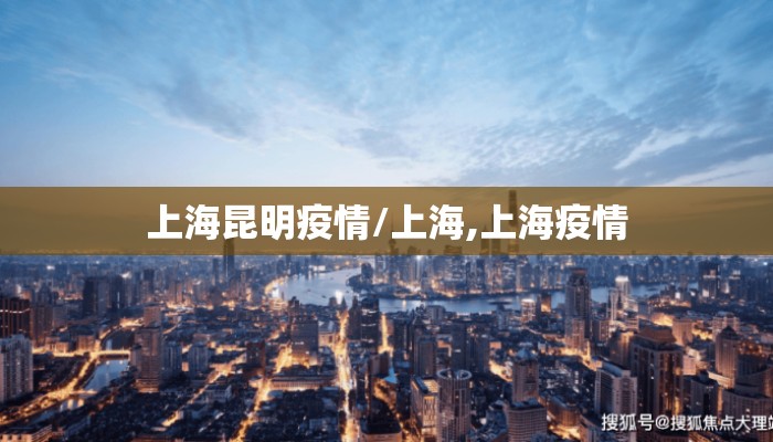 上海昆明疫情/上海,上海疫情