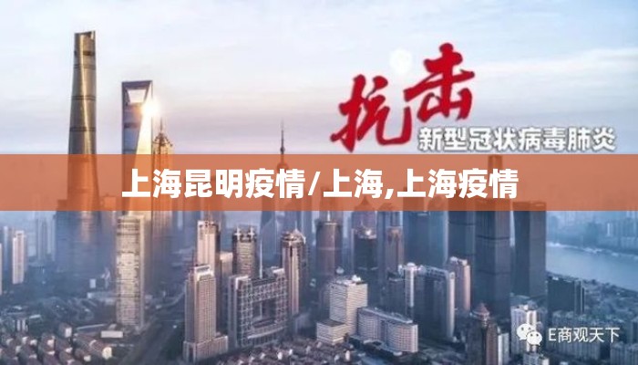上海昆明疫情/上海,上海疫情