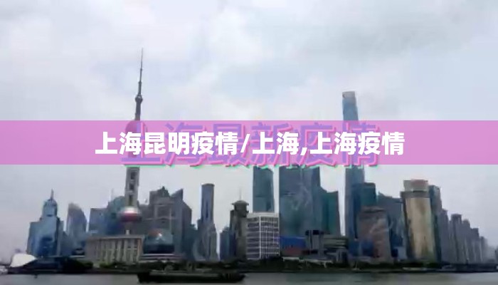 上海昆明疫情/上海,上海疫情