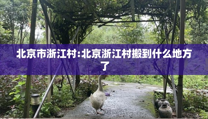 北京市浙江村:北京浙江村搬到什么地方了