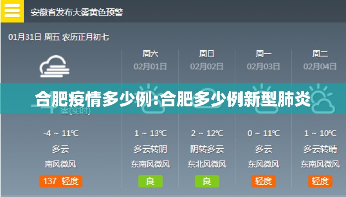 合肥疫情多少例:合肥多少例新型肺炎