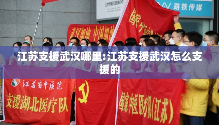 江苏支援武汉哪里:江苏支援武汉怎么支援的