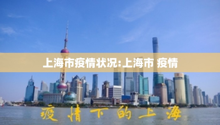 上海市疫情状况:上海市 疫情