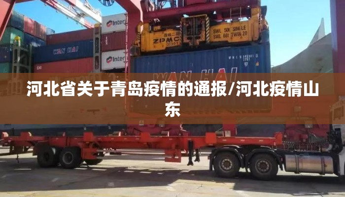 河北省关于青岛疫情的通报/河北疫情山东