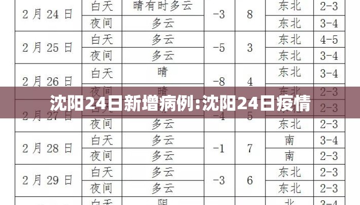 沈阳24日新增病例:沈阳24日疫情
