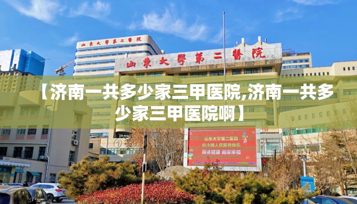 【济南一共多少家三甲医院,济南一共多少家三甲医院啊】