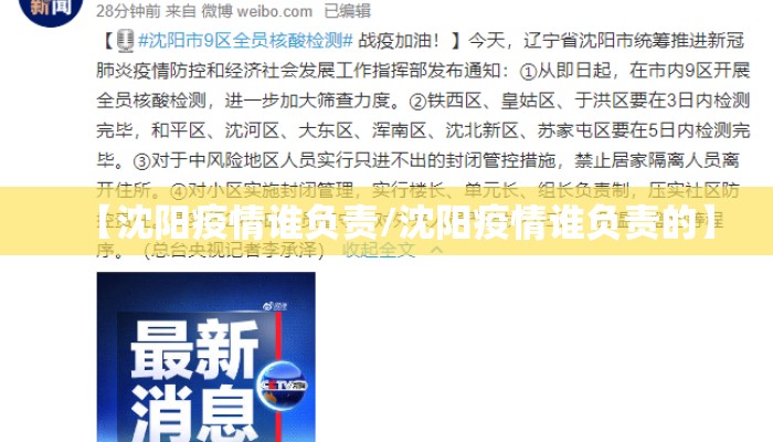 【沈阳疫情谁负责/沈阳疫情谁负责的】