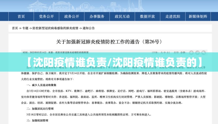 【沈阳疫情谁负责/沈阳疫情谁负责的】