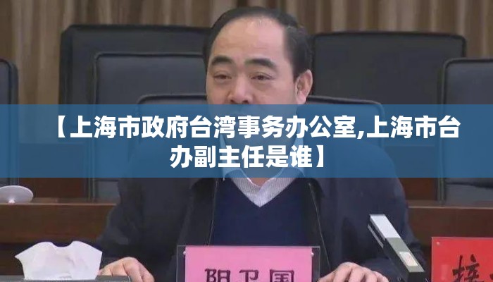 【上海市政府台湾事务办公室,上海市台办副主任是谁】