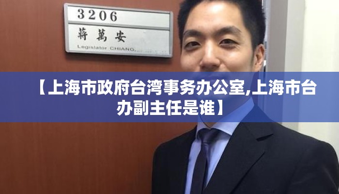 【上海市政府台湾事务办公室,上海市台办副主任是谁】