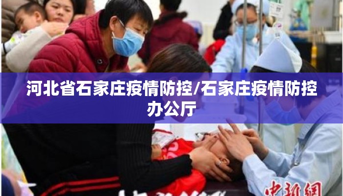 河北省石家庄疫情防控/石家庄疫情防控办公厅